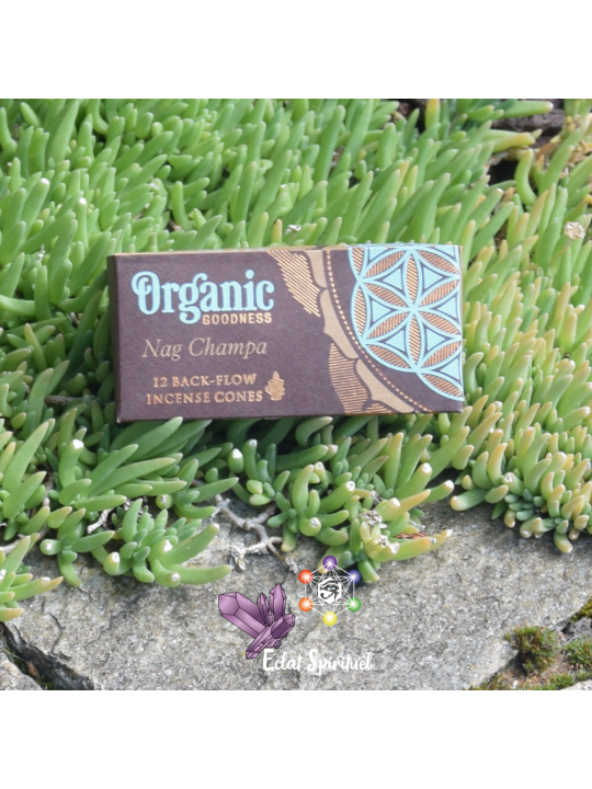 Cônes backflow Organic Goodness Nag Champa – 12 pcs | Harmonie