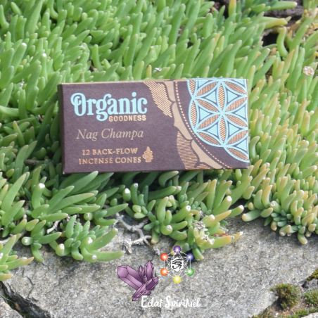 Cônes backflow Organic Goodness Nag Champa – 12 pcs | Harmonie