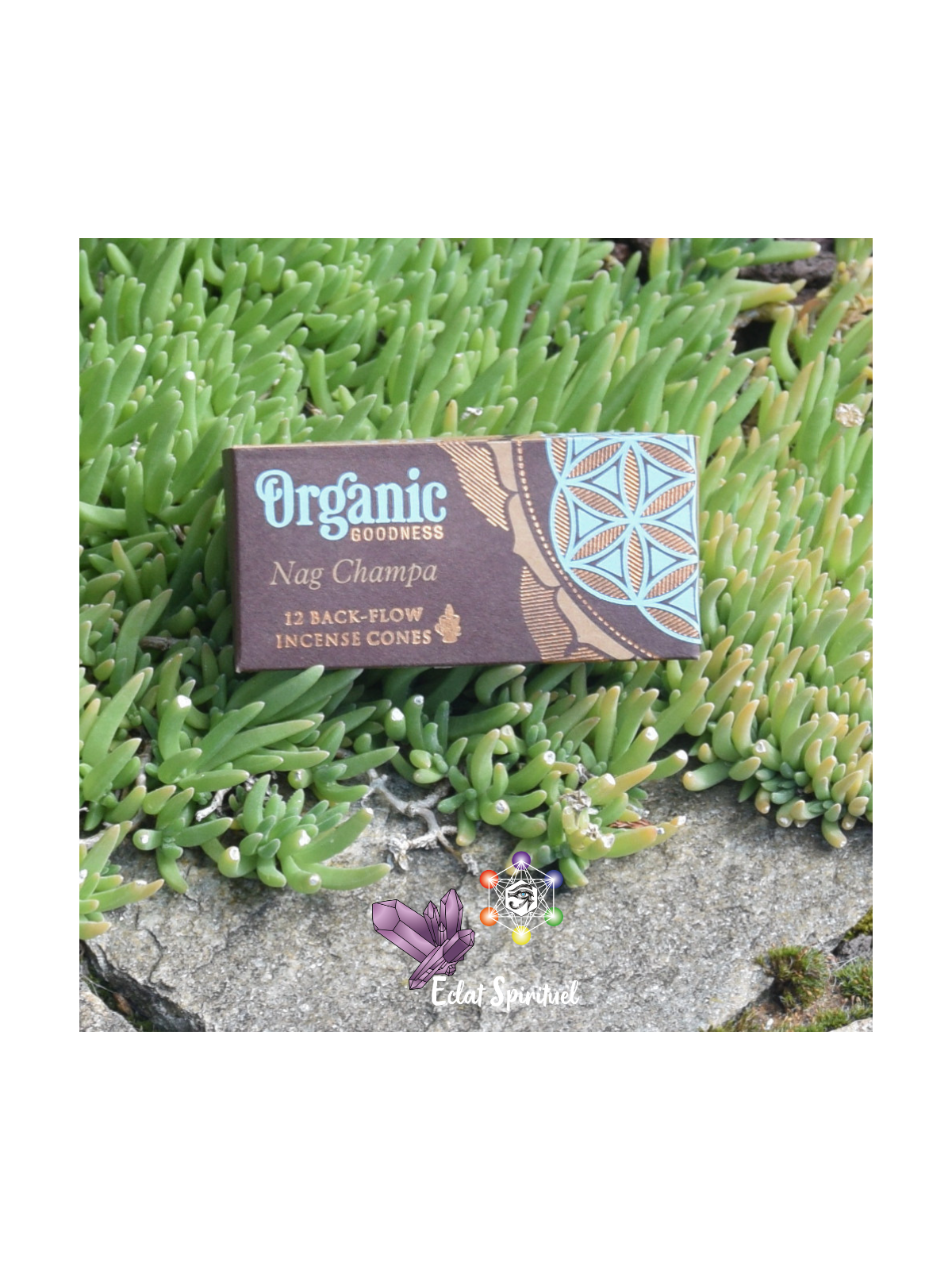 Cônes backflow Organic Goodness Nag Champa – 12 pcs | Harmonie