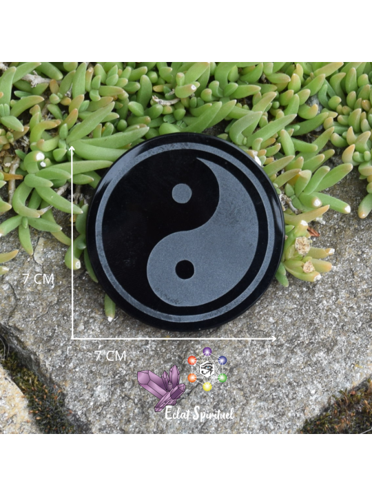 Plaque Yin Yang en Obsidienne noire