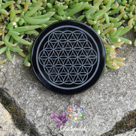 Plaque Fleur de Vie en Obsidienne noire 7 cm