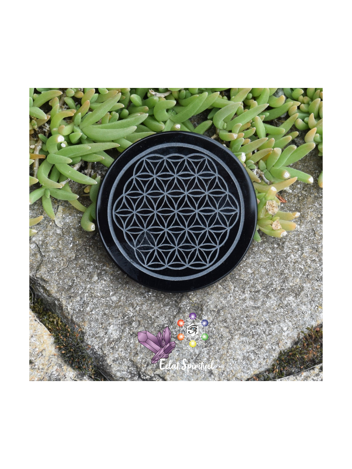 Plaque Fleur de Vie en Obsidienne noire 7 cm