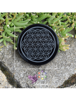 Plaque Fleur de Vie en Obsidienne noire 7 cm