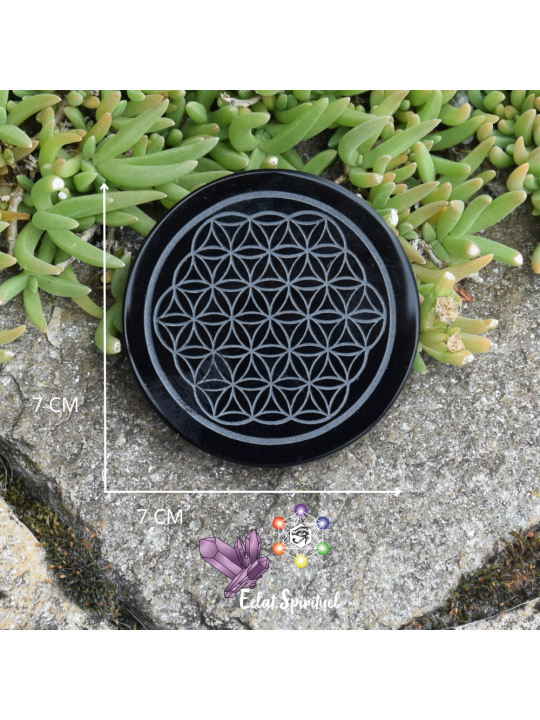 Plaque Fleur de Vie en Obsidienne noire 7 cm