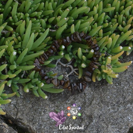 Bronzite en Bracelet Baroque