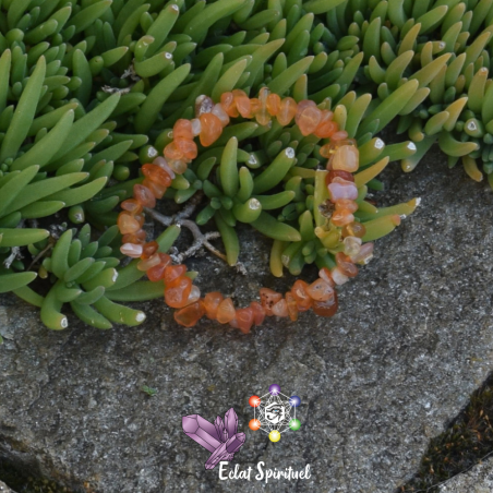 Cornaline en Bracelet Baroque