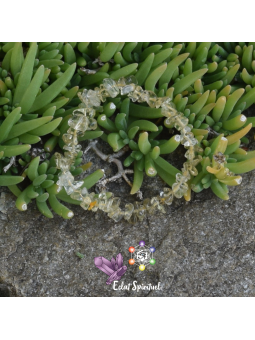 Citrine Naturelle en Bracelet Baroque