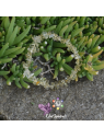Citrine Naturelle en Bracelet Baroque