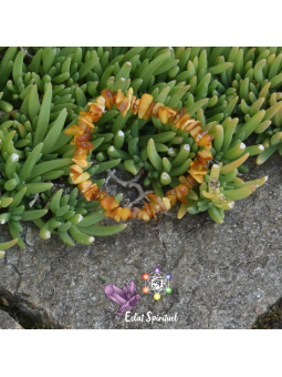 Ambre en Bracelet Baroque