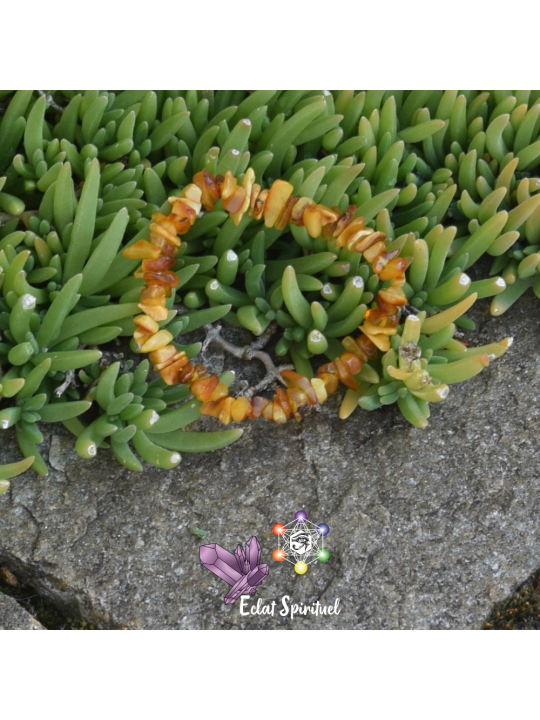 Ambre en Bracelet Baroque