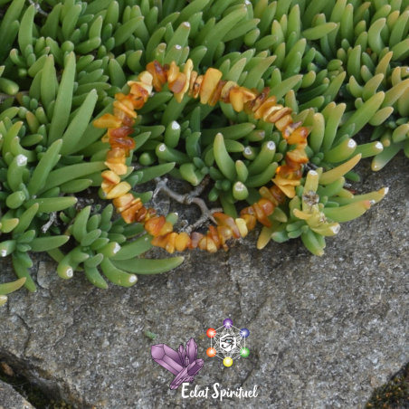 Ambre en Bracelet Baroque