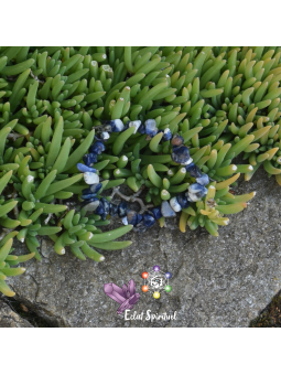 Sodalite en bracelet baroque