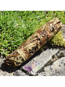 Bâton de Yerba Santa 20 cm | Fumigation Naturelle