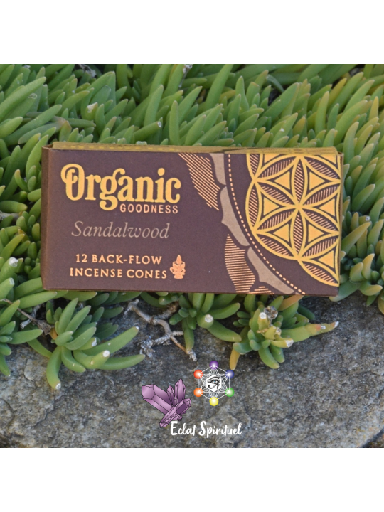Cônes à Refoulement Santal Organic Goodness – 12 cônes