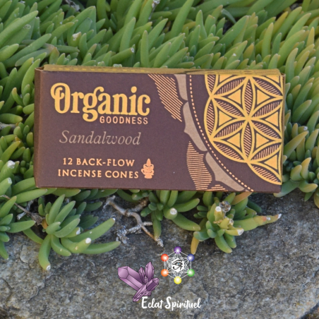 Cônes à Refoulement Santal Organic Goodness – 12 cônes