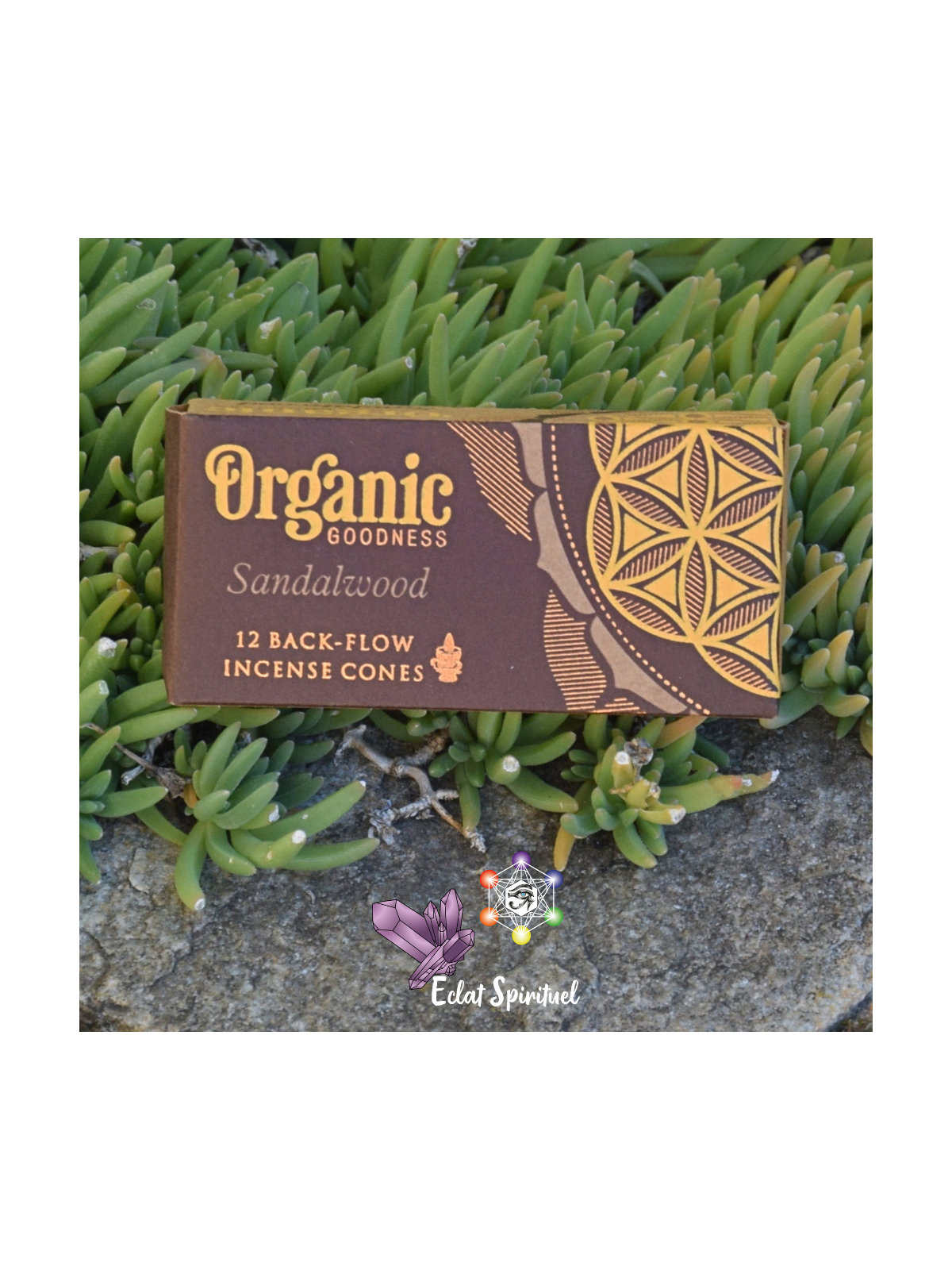 Cônes à Refoulement Santal Organic Goodness – 12 cônes